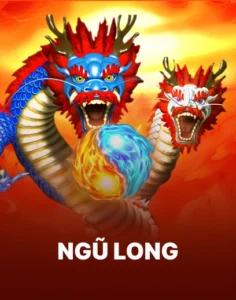 ngu_long